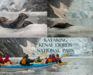 A HOOT OF A KAYAKING TOUR